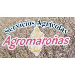 Horario de apertura Agro Maroñas, Asenso