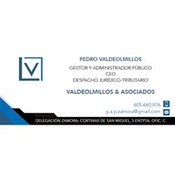 Horario de apertura Pedro Valdeolmillos Punzon Gestor y Administrador Publico, Zamora