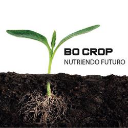 Horario de apertura Bo crop, Almansa