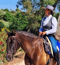 Horario de apertura Rancho Pancho Alhaurin el Grande, 