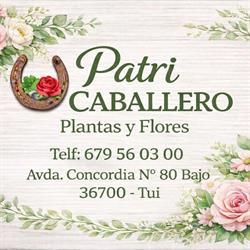 Horario de apertura Flores Patri Caballero, Tui