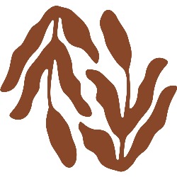 La Consciente panadería sin gluten - obrador vegano - gluten-free bakery - vegan bakery en Barcelona (Eixample) - Horario de apertura