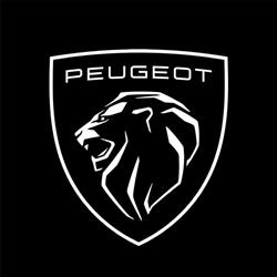 Horario de apertura Peugeot Grupo Nani Ávila,