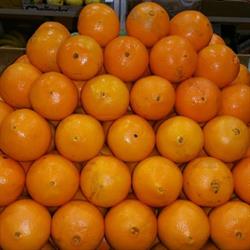 Horario de apertura Frutería Alberto, Sanlúcar de Barrameda