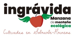Horario de apertura Ingravida, Aínsa
