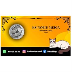 Horario de apertura Noite Meiga Criador Ragdoll, Faro