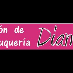 Horario de apertura Salón de peluquería DIANA, Torrejoncillo