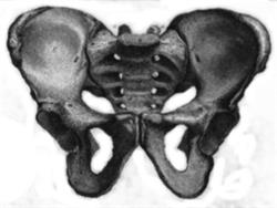 Osteopatia y Salud en Valencia (Extramurs) - Horario de apertura
