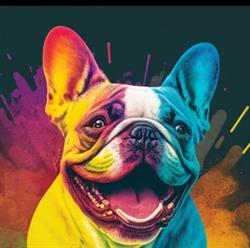 Horario de apertura BODAS BULLDOG, Zaragoza