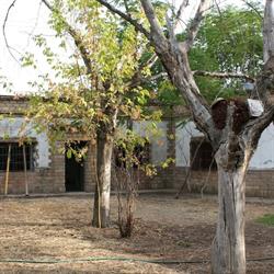 Finca El Naranjo en Sevilla (Norte) - Horario de apertura
