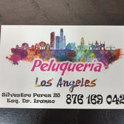 Horario de apertura Peluqueria Los Angeles, Zaragoza