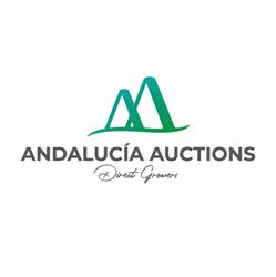 Horario de apertura Andalucía Auctions, Chipiona