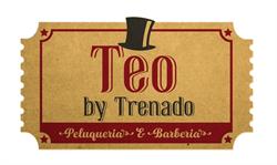 Horario de apertura TEO by Trenado, Talavera de la Reina