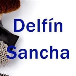 Delfín Sancha en Madrid (Salamanca) - Horario de apertura