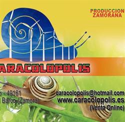 Horario de apertura Caracolopolis, Santa Eufemia