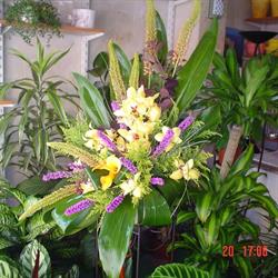 Horario de apertura Floristeria Buigues, Jávea