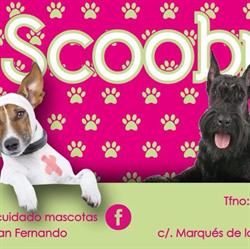 Horario de apertura Scooby cuidado mascotas, San Fernando