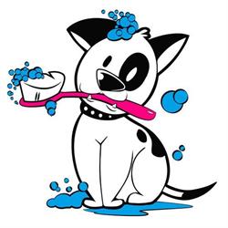 Horario de apertura Perruqueria Canina Anna, Torrent d'Emporda