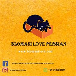 Horario de apertura Criadero de Gatos Persas Blomasi Love, Villanueva de la Serena
