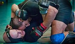 Horario de apertura MMA y lucha grappling Colmenar Viejo, 