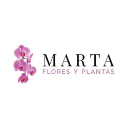 Marta Flores y plantas en Vigo (Santiago De Vigo) - Horario de apertura