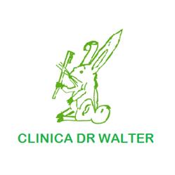 Horario de apertura Clinica Dental Dr Walter, Málaga