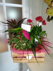 Horario de apertura Floristería Hazaflor, La Roda de Andalucía