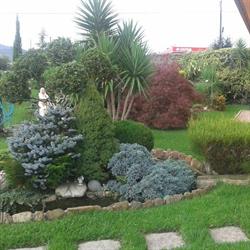 Horario de apertura Limpiezas y jardines Alonso, Tomiño