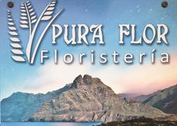 Horario de apertura Floristeria Pura Flor - Loterías, Punta del Hidalgo