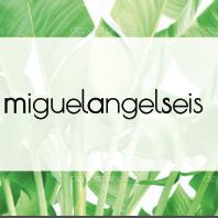 Horario de apertura Miguelangelseis, Madrid
