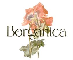 Horario de apertura Borgánicaeco, Bilbao