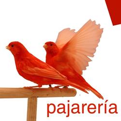 Horario de apertura Pajarería Perea, Mijas