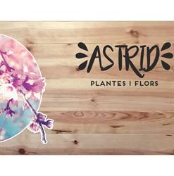 Horario de apertura Flors i plantes Astrid, El Vendrell