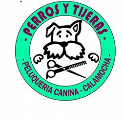 Horario de apertura Perros y Tijeras, Calamocha