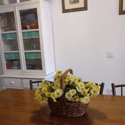 Horario de apertura Casa Rural “Luño Plenas”., 