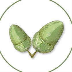 Horario de apertura Quercus Gourmet - Tienda Gourmet en Pozuelo, Pozuelo de Alarcón