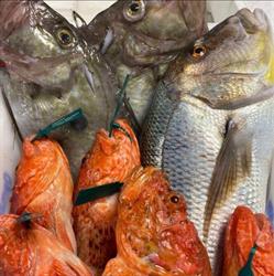 Horario de apertura Pescados Pepe e hijo, Marratxí