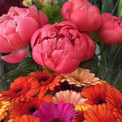 Horario de apertura Tu Flori Diseño Floral, A Coruña