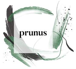 Horario de apertura Prunus Espacio Multiconcepto, Los Llanos