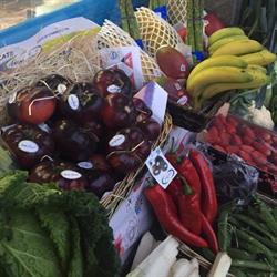 Horario de apertura Frutak eta Barazkiak Jon Bilbao, Bermeo