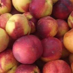 Horario de apertura Frutas Selecta Isabel, Talavera de la Reina