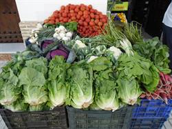 Horario de apertura Fruteria puerta Osuna, Écija