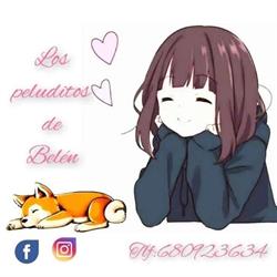 Horario de apertura Los Peluditos De Belén, Corbera