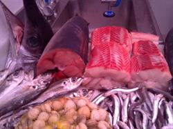 Horario de apertura Pescaderia Viator,