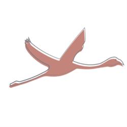 Horario de apertura Lo flamenc viatger, Amposta