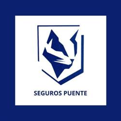 Horario de apertura Seguros Puente, Salvaterra de Miño