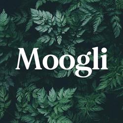Moogli en Zaragoza (Casco Antiguo) - Horario de apertura