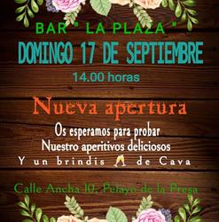 Horario de apertura Bar La Plaza Pelayos,
