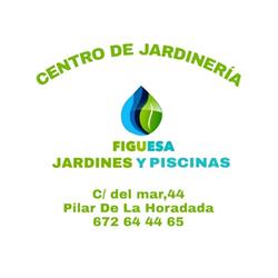 Horario de apertura Centro de jardinería Figuesa, Pilar de la Horadada