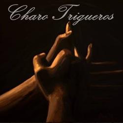 Horario de apertura Escuela Profesional de Danza Charo Trigueros, Cieza